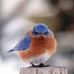 Marla Sterling - Facebook