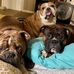 Marla Strong - Facebook