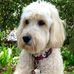 Marla Sullivan - Facebook