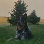 Marla - @marla.todd - Instagram