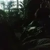 marlantoro8 - @marlanndoi - TikTok
