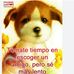 Marla Torres - Facebook