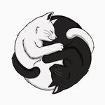 Marla 🐈‍⬛ Tyler 🐈‍⬛ Nieve 🐁 - @03_kittens - Instagram