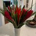 Martha Fynn - Facebook