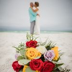 Marla Daldegan Webb - @marla.webb.9 - Instagram
