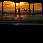 Marla Laraine Allard Webb - @thedancingmom - Instagram