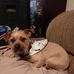 Marla Wells - Facebook