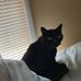 Marla Whitaker - Facebook