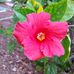 Marla Wilcox - Facebook
