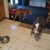Marla Williamson - Facebook