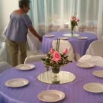 Marlene Willner - @marlene.willner - Instagram