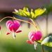 Marla Wood Postrado - Facebook