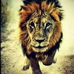 Marlando Smith - @marlando.smith - Instagram