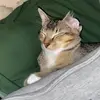 marlee - @marleebrookss - TikTok