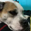 Marlee King - @.stella.bella2 - TikTok
