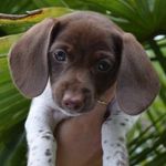 Marlee Sophie King - @marlees.ophie - Instagram