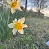 marleeking447 - @goat20398 - TikTok