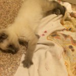 Marlee Mooney - @marlee.mooney.05 - Instagram