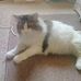 Marleen Miller - Facebook