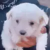 Marlen___olivas - @marlen___olivas - TikTok