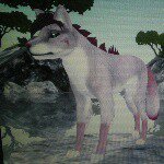 Marlena James - @wolfgirl355 - Instagram