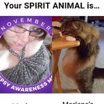 Marlena Perry - @marlena.rocks - Instagram
