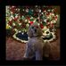 Marlene Jones Workman - Facebook