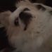 Marlene Adkins - Facebook