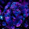 Marlin Aiken - @marlin.aiken - TikTok
