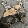 Albert&Marlene - @albertmarlene - TikTok