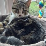 Marlene Albrecht - @marlenealbrecht65 - Instagram