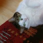 Marlene Albrecht - @marlene.albrecht.16547 - Instagram