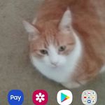 Marlene Alexander - @marlene.alexander.560 - Instagram