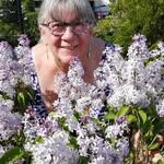 Marlene Allard - @allardmarlene3 - Instagram