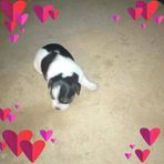 Marlene Araujo - Facebook