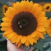 Marlene Arenas - @marlenearenas97 - TikTok