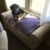 Marlene Armbruster - Facebook