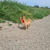 Marleen Auer - @marleenauer - TikTok