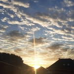 marlene auer - @marleneauer32 - Instagram