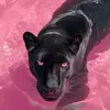 Marlene - @itsdarksky0 - TikTok