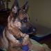 Marlene Barrett - Facebook
