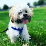 Marlene Barrett - @marlenebarrett4 - Instagram
