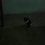 Marlene Bastos - Facebook