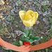 Marlene Batchelor - Facebook