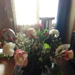 Marlene Baumann - @marlene.baumann.3 - Instagram