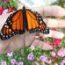 Marlene Baxter - Facebook