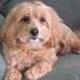 Marlene Baxter - Facebook