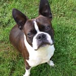 Marlene Beal - @mbeal123 - Instagram