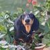 Marlene Bean - Facebook