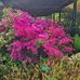Marlene Benoit - Facebook